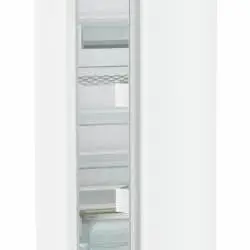 Kép