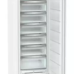 Kép