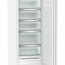 Kép