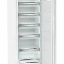 Kép