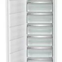 Kép