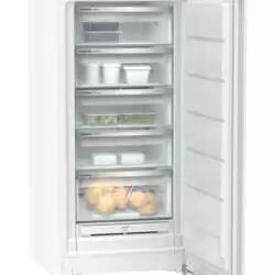 Kép