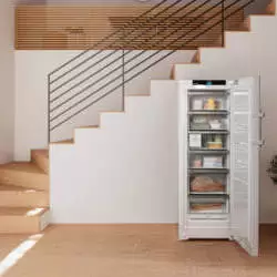 Kép
