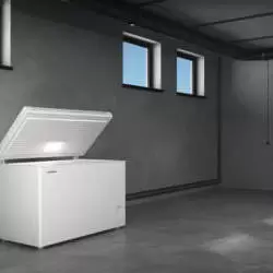 Kép