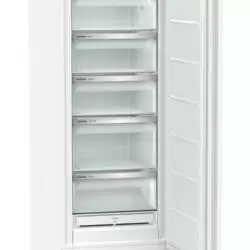Kép