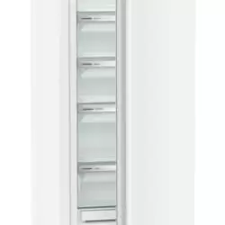 Kép