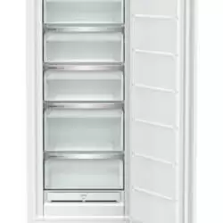 Kép