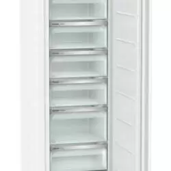 Kép