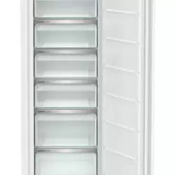 Kép