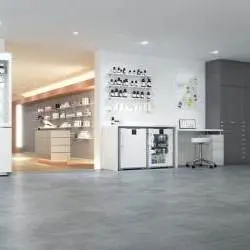 Kép