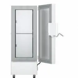 Kép