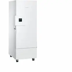 Kép