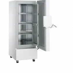 Kép