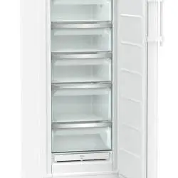 Kép