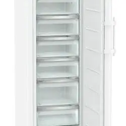 Kép