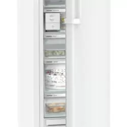 Kép