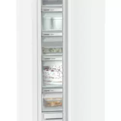 Kép